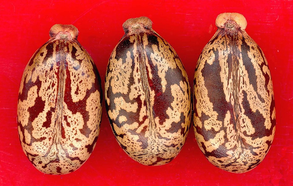 Health Benefits Associated With Castor Oil